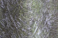 Achterneed fibreglass roof work